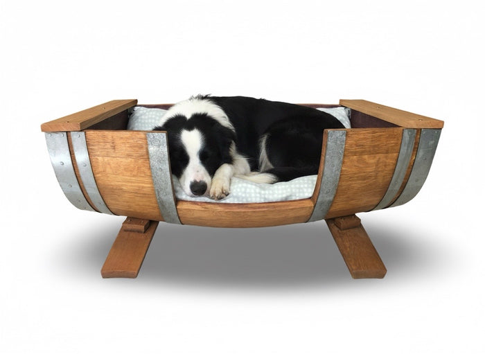Pet Accessories Collection