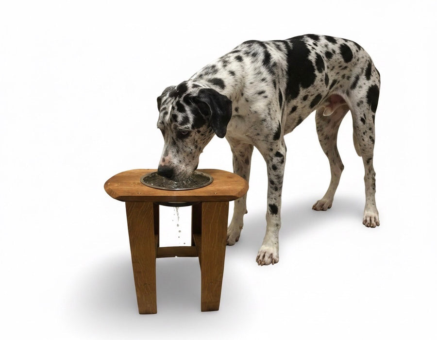 Oval Barrel Head Giant Pet Feeder