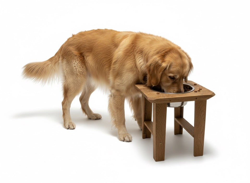 Square Barrel Head Large Pet Feeder